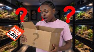 UNBOXING A WORLDS FIRST REPTILE MYSTERY BOX!
