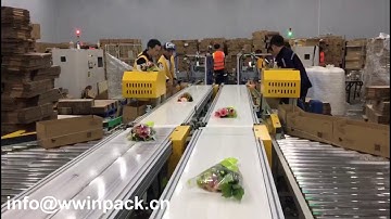 WIN-WIN PACK Flower packing machine/Carton erector+Carton sealer+Real time printing label machine