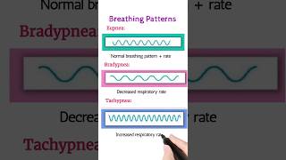 Breathing Patterns 🩺 #aiims #jipmer #rrb #mrb #esic # all competitive exams 🩺