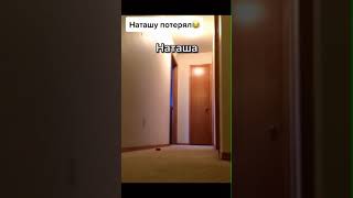 Тропическому попугаю холодно, а Наташа ржет с него