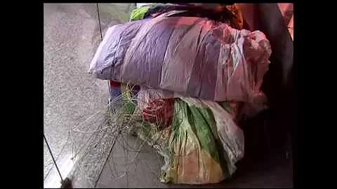 Como fazer denúncia de Balao?