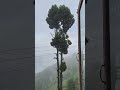 Beauty of nature