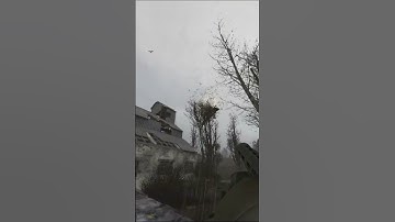 RIP Doggo | S.T.A.L.K.E.R. G.A.M.M.A. #fps #survival