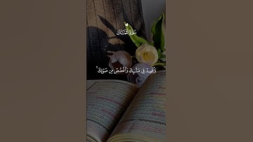 تلاوة خاشعه اسمع بقلبك♥🎧#قرآن #quran #المصحف #اكسبلور #trending