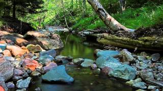 Pisces horoscope for January 08 2014