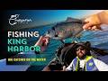 King Harbor Redondo Kayak Fishing | Tides, Structure, and Solid Catches