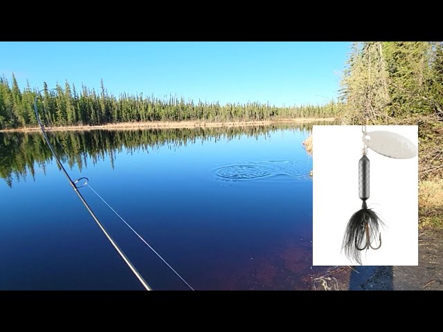 EASY rooster tail rig/setup for trout work 100% [lake, river and