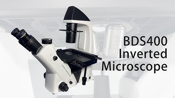 Inverted Biological Microscope BDS400 with Digital Camera Chongqing Scope