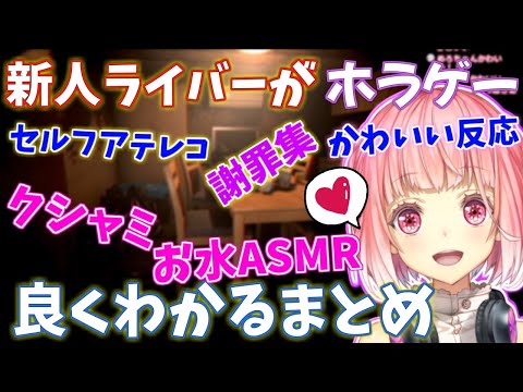 【にじさんじ新人】初ホラゲー！5分で分かる魅力！かわいいくしゃみや水飲みASMR！口癖「ごめんねぇ～」など見どころまとめ【行方不明 Missing Children/金魚坂めいろ/にじさんじ切り抜き】