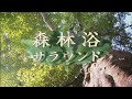 『森林浴サラウンド』トレーラー・本編 ver.