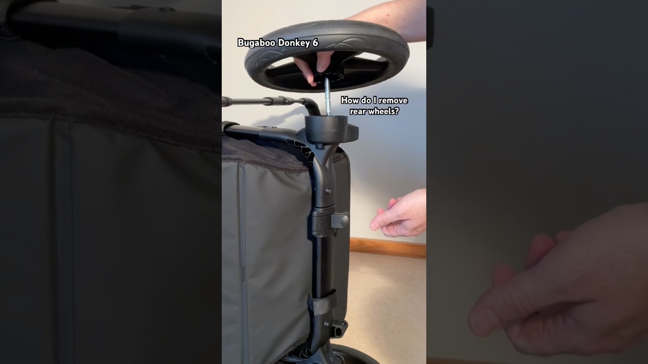 graco sit and stand stroller 12 positions Premier Modes Lux (Midtown) sewing patterns for your home Slide2Me raises the stroller 14 Best Men's Hiking Color:Razzle Dazzle