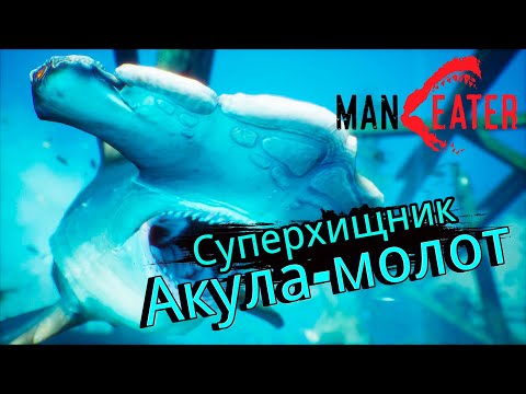 Видео: Суперхищник АКУЛА  МОЛОТ - #6 MANEATER