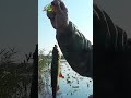 РЫБАЛКА на ПОПЛАВОК🎣🧜‍♂️#shorts#рванёмнарыбалку