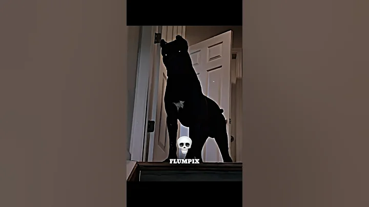 THE MOST SCARY DOGS 💀#animals #trolface #trollfaceedit #scary