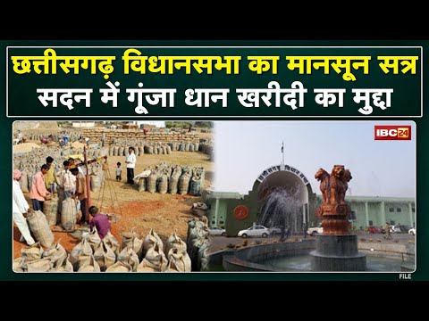 Chhattisgarh Vidhan Sabha में धान खरीदी का मुद्दा गूंजा | विधायकों के वेतन और भत्ते में बढ़ोतरी