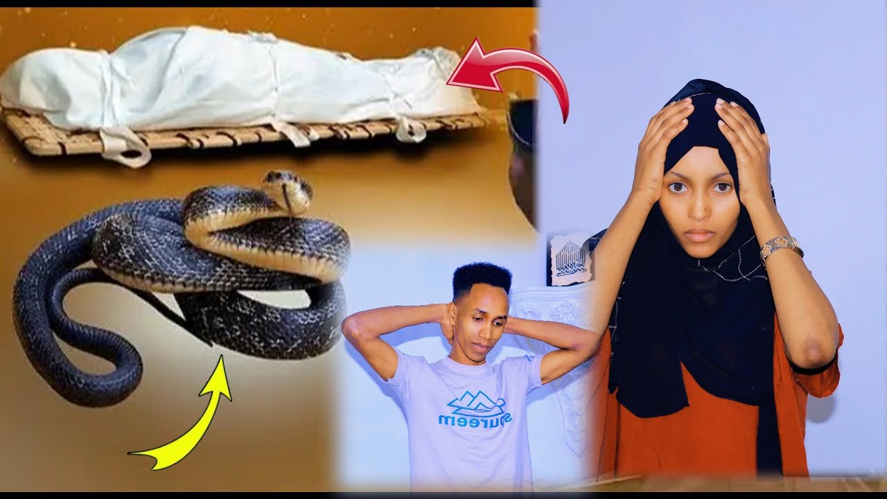 uuufffff arra abdalaan linaa na hikii janan arre ifi ajese