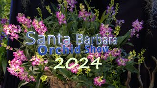 Santa Barbara Orchid Show 2024