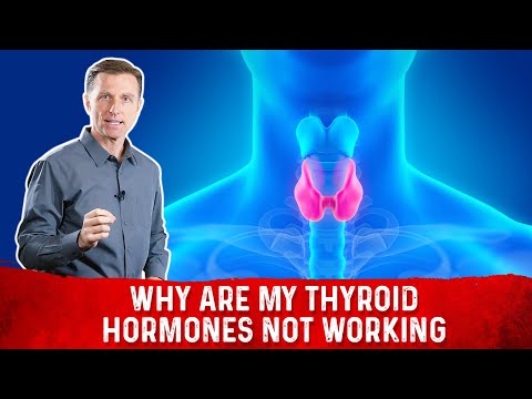 Why Are My Thyroid Hormones Not Working?