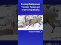 В Азербайджане готовят Красную книгу Карабаха