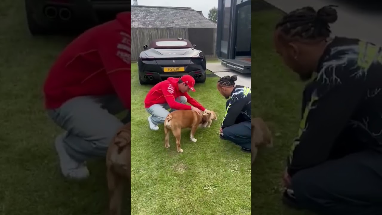 When Leo and Roscoe met for the first time...🔴🥹 (via @charles_leclerc/IG)