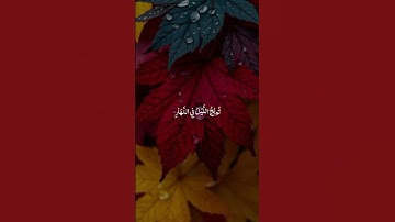 سورة ال عمران-القارئ احمد العجمي  #المصحف #القران_الكريم
