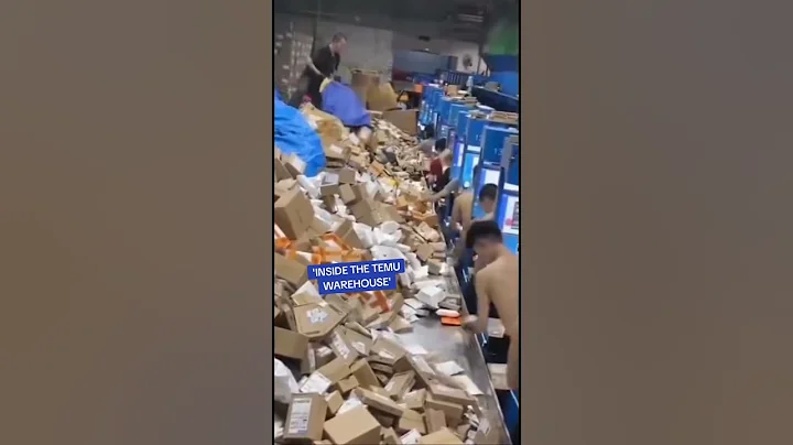 This Is The Alledged Footage Of Inside A Temu Warehouse