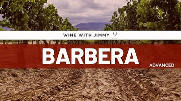 Wine Grape Varieties: Barbera - Advanced Version ideal for WSET Level 3 and Level 4 (Diploma)