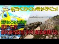 荒川のごみの現状(20/04/21 荒川 左岸 都営新宿線荒川中川橋梁 南側付近)