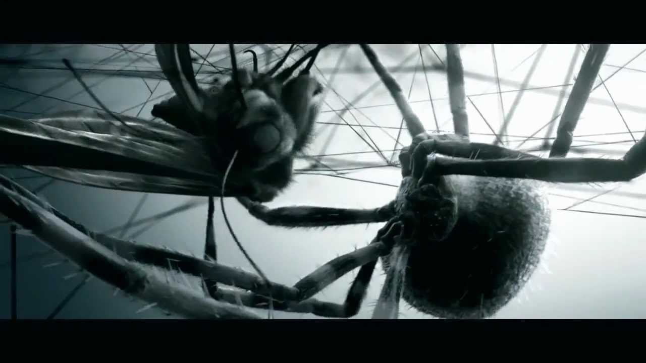 Akaustik - Il est temps (Altruistprod) # INEDIT RAP 2012 (VIDEO)