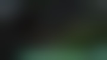 The Last of Us Part II Remastered- Chapter 4- Seattle Day 3: Road to the Aquarium: Bookstore.