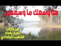 هلا وسعك ما وسعهم من كتاب تاريخ بغداد للخطيب البغدادي