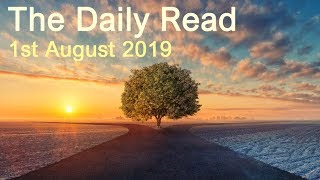 THE DAILY READ  August 1st 2019 - Daily Tarot