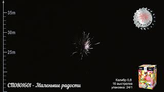 СП0801601 Маленькие радости