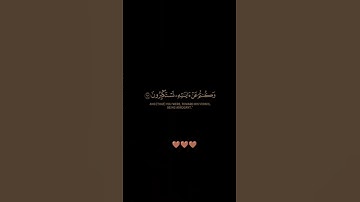 سورة الأنعام / الشيخ ياسر الدوسري / تلاوة خاشعة ومؤثرة راحة نفسية