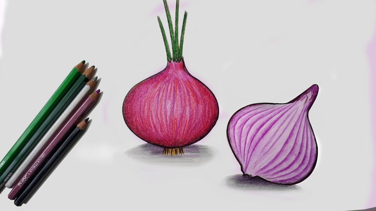 Amazon.com: 4 x 'Sprouting Onion' Temporary Tattoos (TO00048111) :  Everything Else