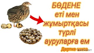 👍БӨДЕНЕ ЕТІ МЕН ЖҰМЫРТҚАСЫНЫҢ СІЗ БІЛМЕЙТІН СЫРЛАРЫ,  ТЕЗ ҚАРАҢЫЗ