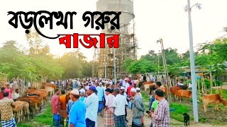 বড়লেখা গরুর বাজার || Barolekha cow market vlog || সিলেট,মৌলভীবাজার || Delwer Official vlog