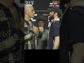 Анкалаев и Перейра впервые на битве взглядов / Напряжение зашкаливает #ufc313 #mma #ufc
