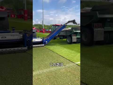 サッカー場の芝の秘密
