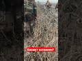 Бойцы ВСУ выбираются из Бахмута полями #ukraine