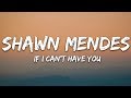 Shawn Mendes - If I Can