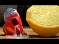 LARVA | LIMONE SOURO | Larva 2019 | Cartoni per bambini | WildBrain Videos For Kids