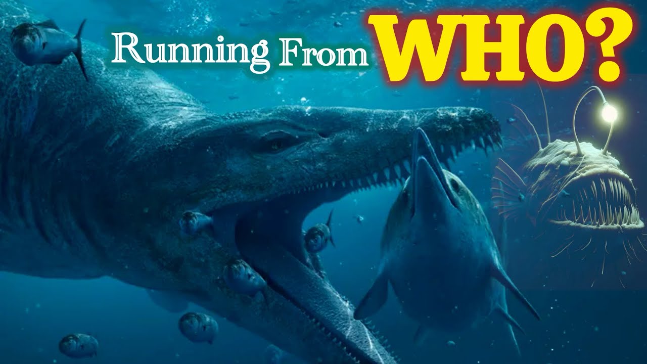 Latest Title & Thumbnail