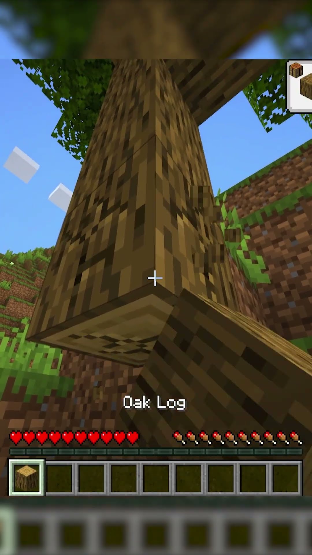 MINECRAFT, Dar Nu Pot Sa Zic Litera A...