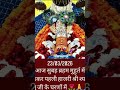 hare ke sahare ki jai 🙏🙏🌹🌹❤️💕 #shreekhatushyam #shyam #love #khatushyamsarkar