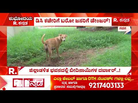 Stray Dog Menace at District Administration Bhavan : ಜಿಲ್ಲಾಡಳಿತ ಭವನದಲ್ಲೇ ಬೀದಿ ನಾಯಿಗಳ ಹಾವಳಿ! | Gadag