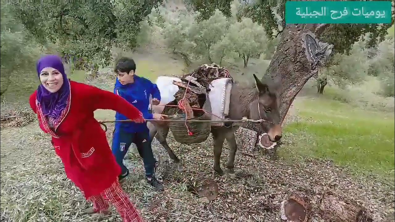 اجيو معنا نجيبو لعواد فجبال الريف ♥