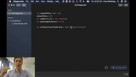 AppDevelopment - Variable Types in Swift