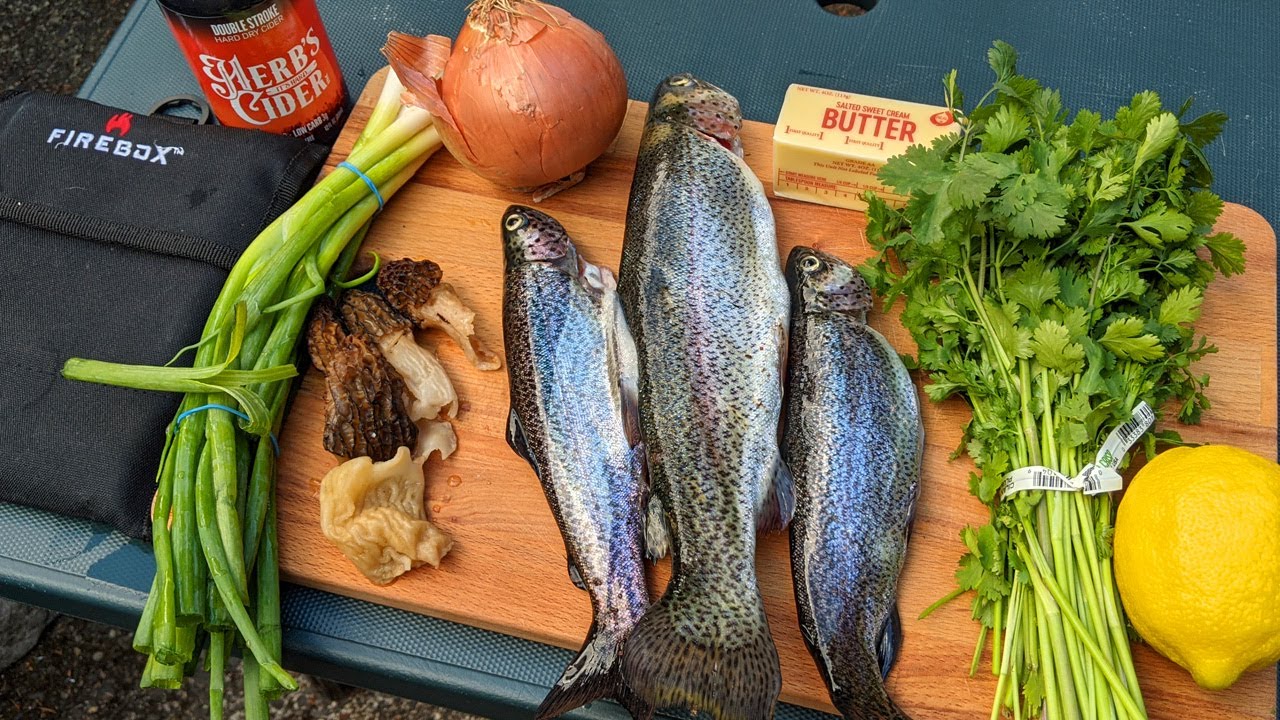 Wilderness Feast Catch and Cook! Trout and Morel On the Firebox Stove
