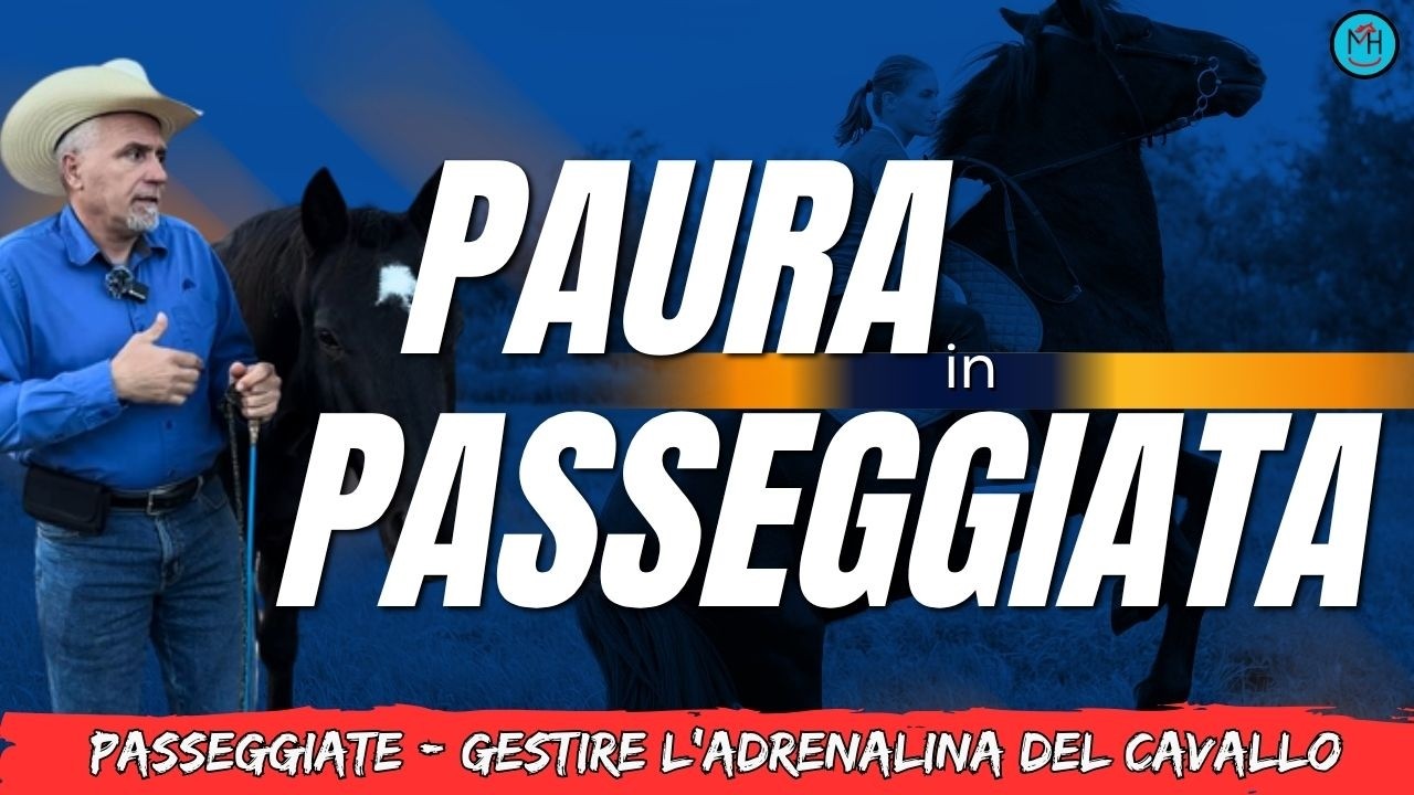 La Passeggiata che Insegna: Gestire l’Adrenalina del Cavallo Fuori dal Contesto Sicuro